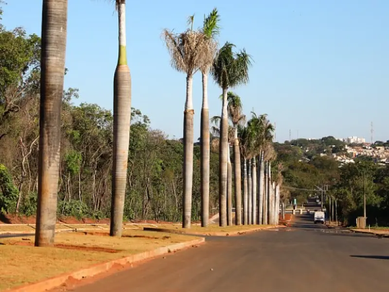 Prefeitura conclui obras de drenagem e recapeamento na região do Parque dos Poderes
