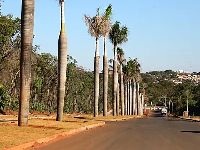 Prefeitura conclui obras de drenagem e recapeamento na região do Parque dos Poderes