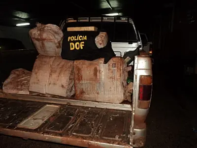 Duas pessoas são presas com 259 kg de maconha