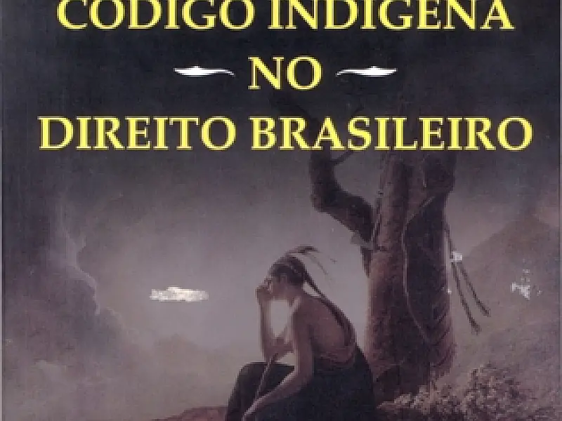 Livro sobre a condição do indígena brasileiro é apresentado na Capital