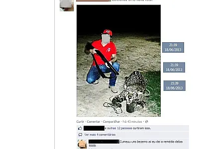 Jovem posta foto de caça de onça-pintada no Facebook e é atuado pela PMA