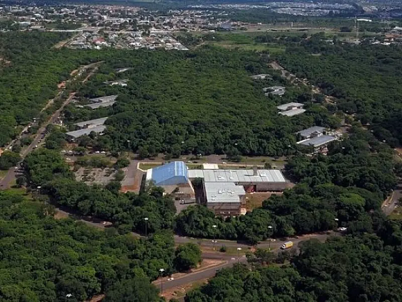 ‘Mutirão de Limpeza do Parque’ mira criadouros do mosquito Aedes aegypti