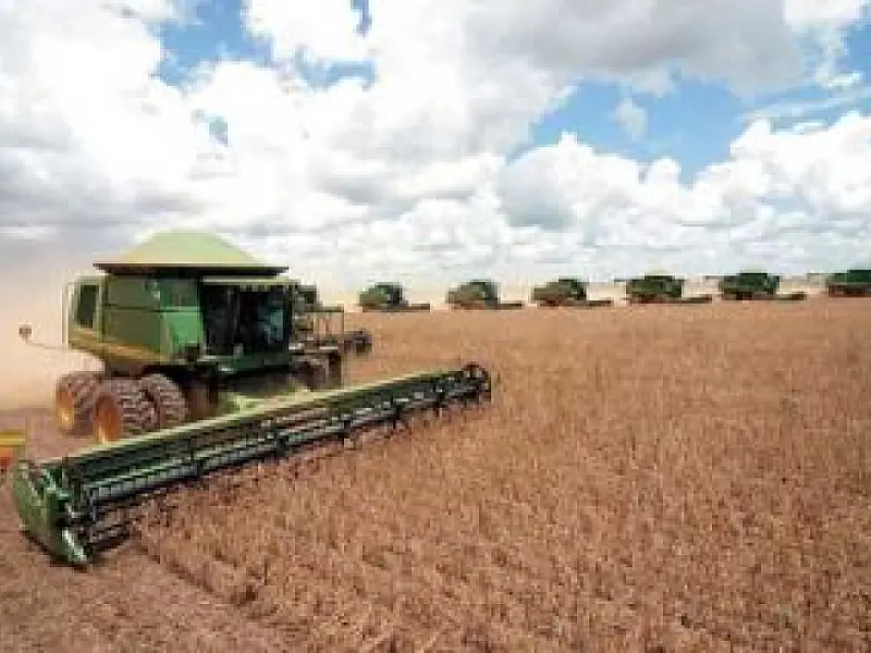 Custo de produção da soja deve crescer 10% em MS