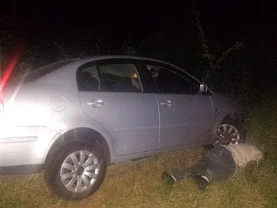 Condutor bate em animal na BR 267 e morre em Nova Andradina