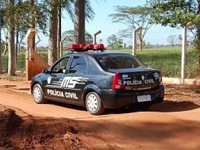 Animal é abatido e furtado em Nova Andradina