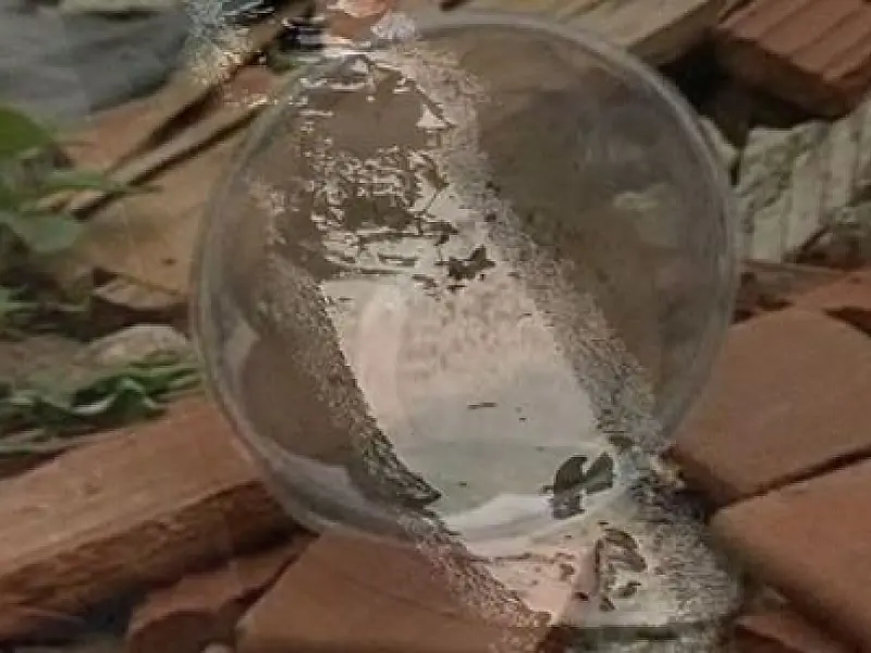 Imóveis habitados respondem por maioria da infestação do Aedes aegypti