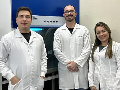 Com cogumelos, startup sul-mato-grossense mira mercado de proteínas alternativas