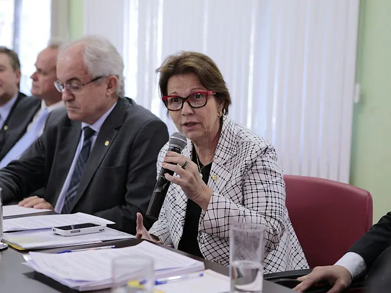 PSB realiza encontro estadual para debater rumos do partido em 2016