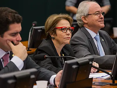 Deputada Tereza Cristina debate custo da semente na Câmara Federal