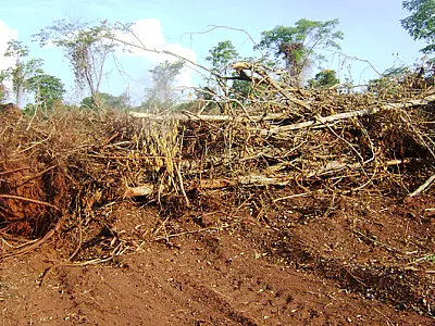 Fazendeiro é autuado em R$ 3 mil por desmatamento ilegal de vegetação