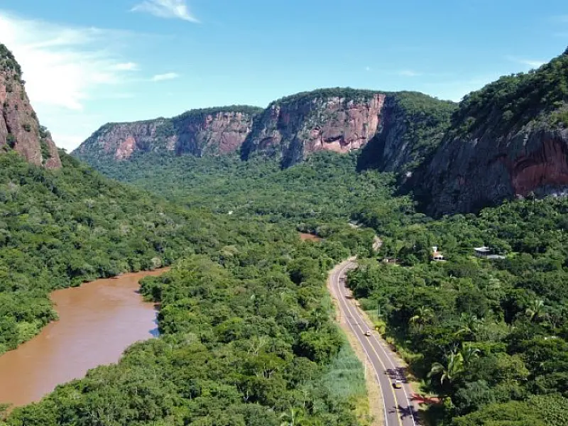 Programa Estrada Viva monitora rodovias estaduais e propõe adaptações para segurança da fauna