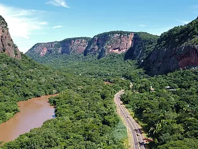 Programa Estrada Viva monitora rodovias estaduais e propõe adaptações para segurança da fauna