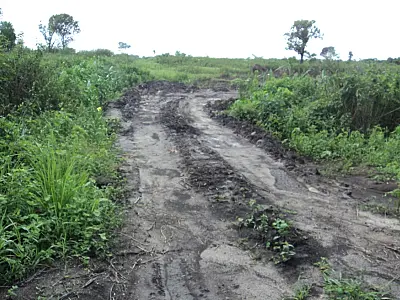 PMA autua pecuarista paulista por realizar obras sem licença