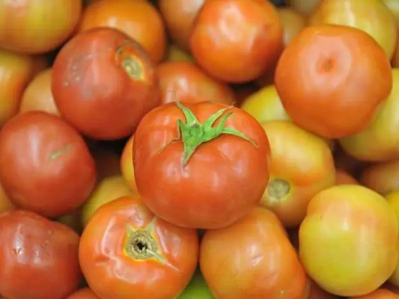 Tomate volta a ser o vilão e puxa alta na cesta básica da Capital