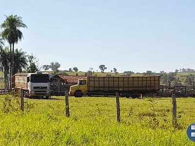 Proprietários retiram gado e índios se mantêm fora das fazendas