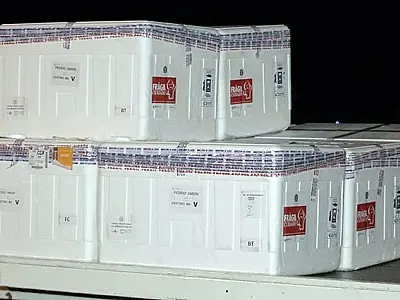 Mato Grosso do Sul recebe nesta quinta-feira remessa com doses da Pfizer e na sexta-feira