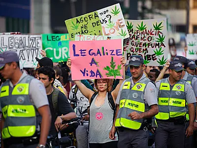 Liberação do uso da maconha recebe mais de 20 mil assinaturas