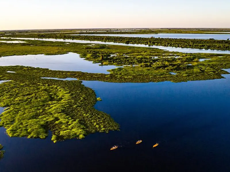 Com ações do Governo do Estado, Pantanal tem 85% da área preservada e redução do desmatamento