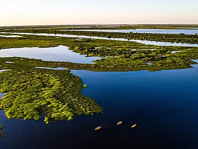 Com ações do Governo do Estado, Pantanal tem 85% da área preservada e redução do desmatamento