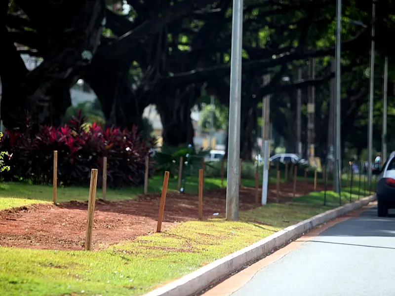 Implantação da ciclovia na Afonso Pena já tem serviços iniciados