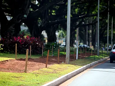 Implantação da ciclovia na Afonso Pena já tem serviços iniciados