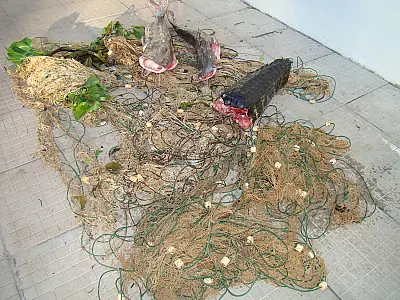 PMA apreende pescado, rede de pesca e carne de jacaré no Pantanal