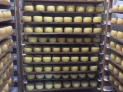 PREFEITURA ANUNCIA DATA DA FESTA DO QUEIJO EM ROCHEDINHO