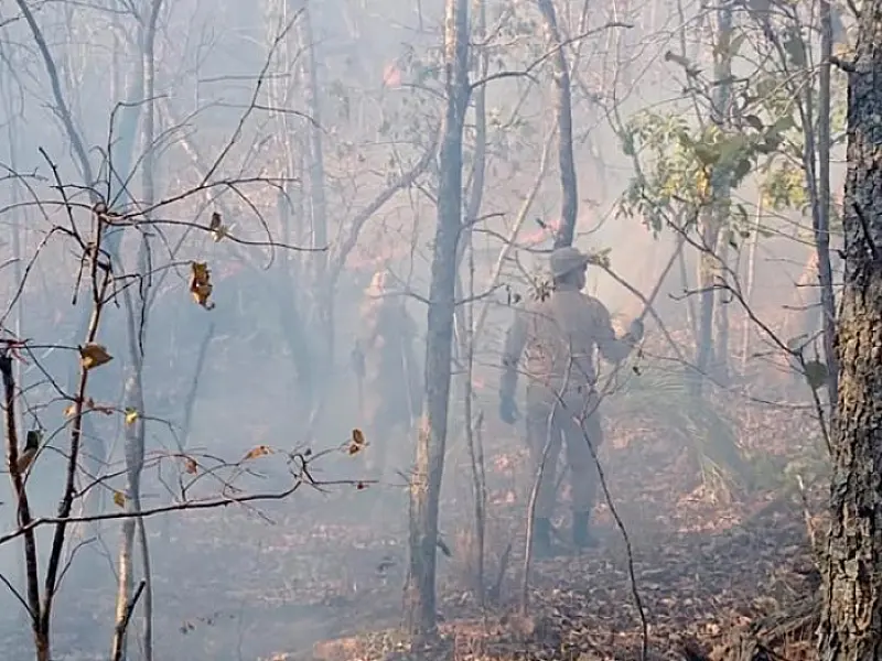 Corpo de Bombeiros monitora incêndios com imagens de satélite e amplia fiscalização em áreas de foco