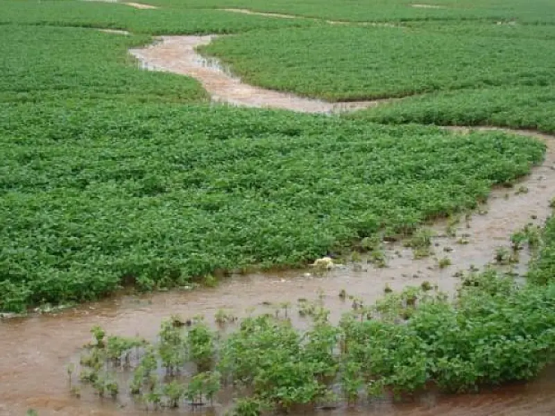 Governo prorroga prazo para abertura de valas de drenagem em lavouras atingidas pelas chuvas