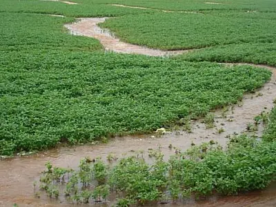 Governo prorroga prazo para abertura de valas de drenagem em lavouras atingidas pelas chuvas