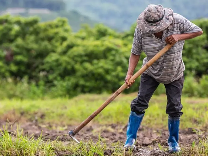 Investimento na agricultura familiar sobe 130% em edital de extensão da Fundect