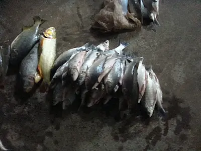 Pescadores da Capital são presos por pesca predatória
