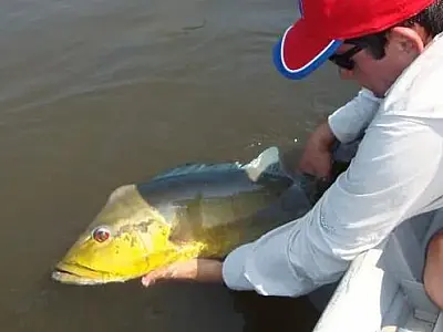 Pesque e solte já está liberado na calha do rio Paraguai
