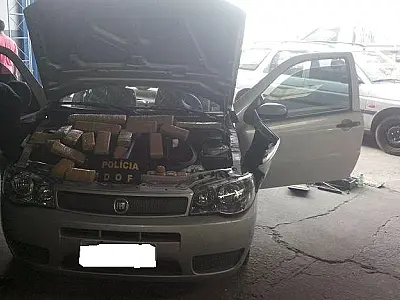Veículo carregado com maconha é apreendido pelo DOF
