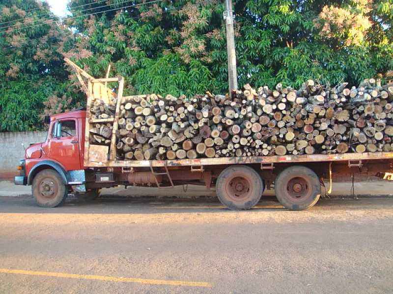 PMA apreende foragido transportando madeira ilegal