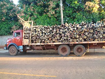 PMA apreende foragido transportando madeira ilegal