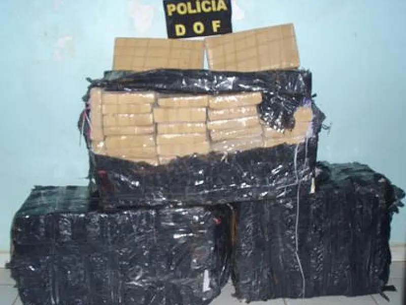 DOF apreende 142 kg de maconha em matagal