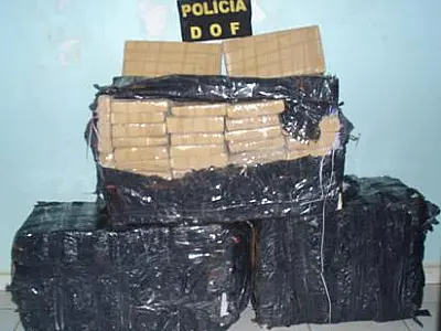 DOF apreende 142 kg de maconha em matagal