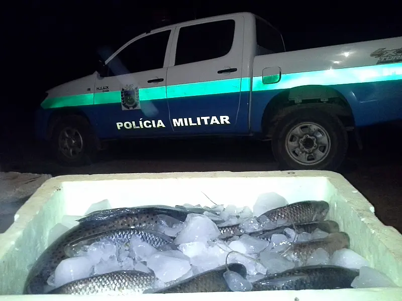 PMA prende três pescadores com pescado capturado acima da cota permitida