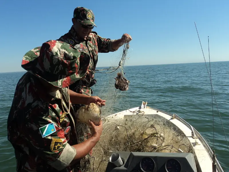 PMA apreende redes e peixes vivos em Bataguassu