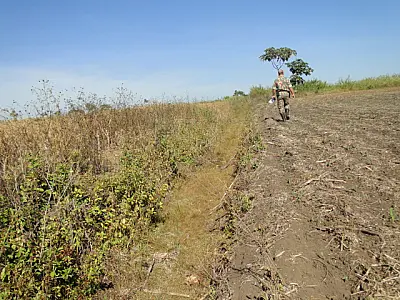 Fazendeira é multada em R$ 128,4 mil por drenagem de área de preservação