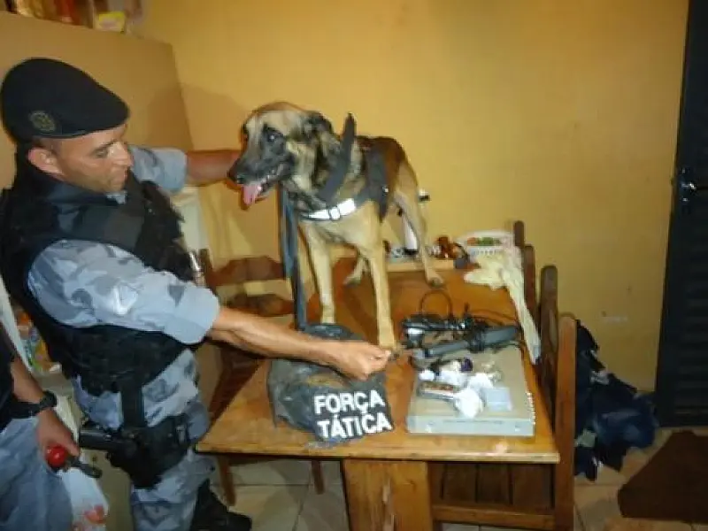 Com ajuda de cão farejador, Força Tática apreende drogas em Dourados