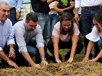 Projeto de hortas comunitárias melhora renda, alimentação e ocupação de espaços vazios