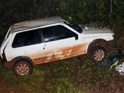 Veículo sai da pista na MS-141 e atinge vegetação local em Ivinhema