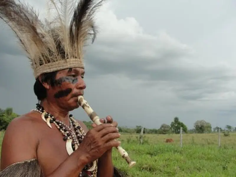 Lei cria Fundo Estadual para compra de terras indígenas em Mato Grosso do Sul
