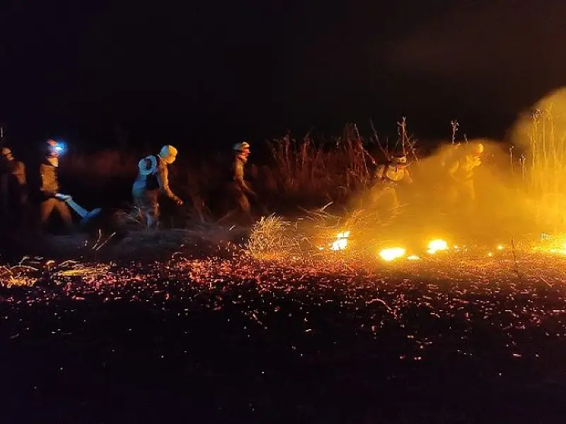 Pantaneiros destacam efetividade do Estado no combate aos incêndios florestais
