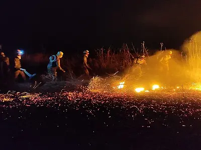 Pantaneiros destacam efetividade do Estado no combate aos incêndios florestais
