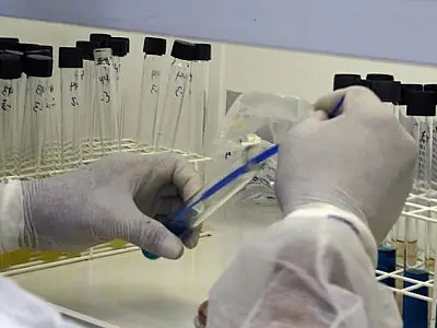 Lacen/MS recebe nota máxima em ensaios de proficiência e reforça excelência técnica