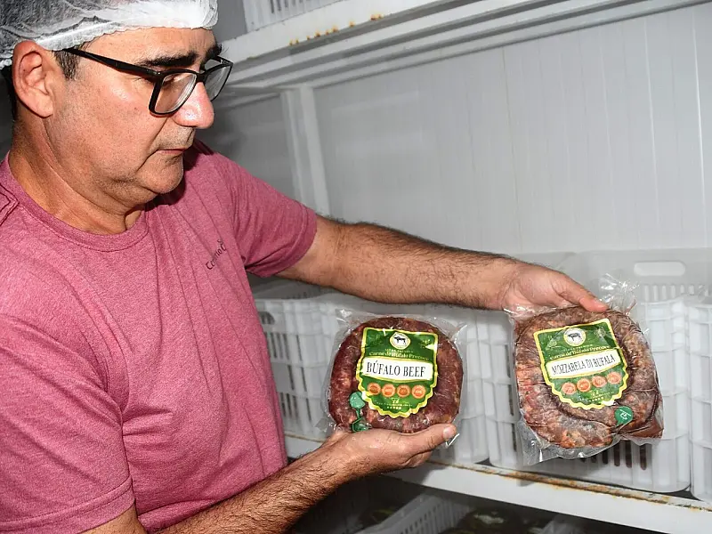 Há menos de um ano no mercado, Búfalo Beef nasceu certificada e quer vender para outros estados