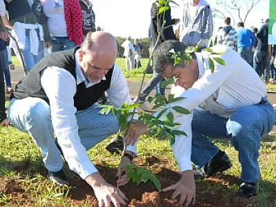 Plantio de árvores marca início da Semana do Meio Ambiente na Capital